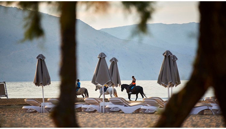 Mythos Palace Resort and spa , Крит